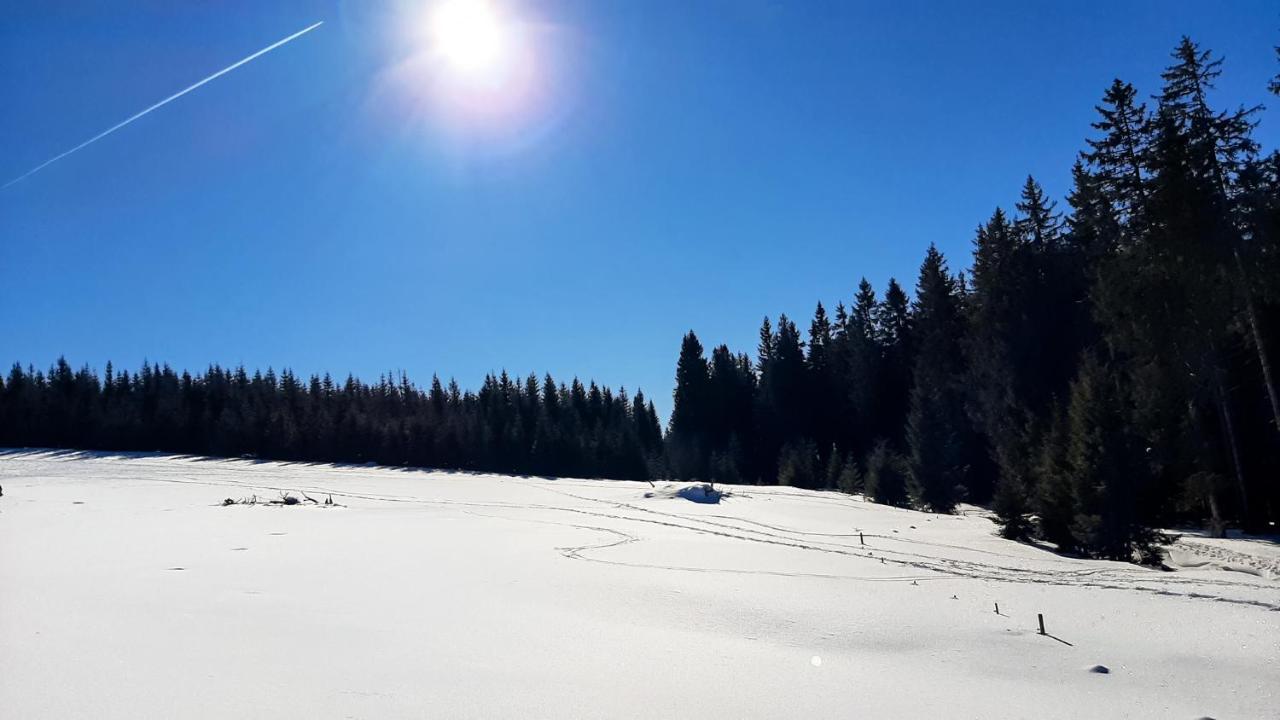 Romantiksuite Bei Seitberger Frauenberg Eksteriør billede